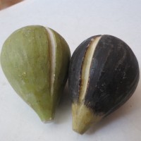  2 Large Vtg Alabaster Carved Stone Fruit FIGS Green&Purple(3.25"-Italy-12ounce)   232860704974